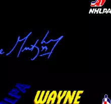 Image n° 1 - screenshots  : Wayne Gretzky and the NHLPA All-Stars
